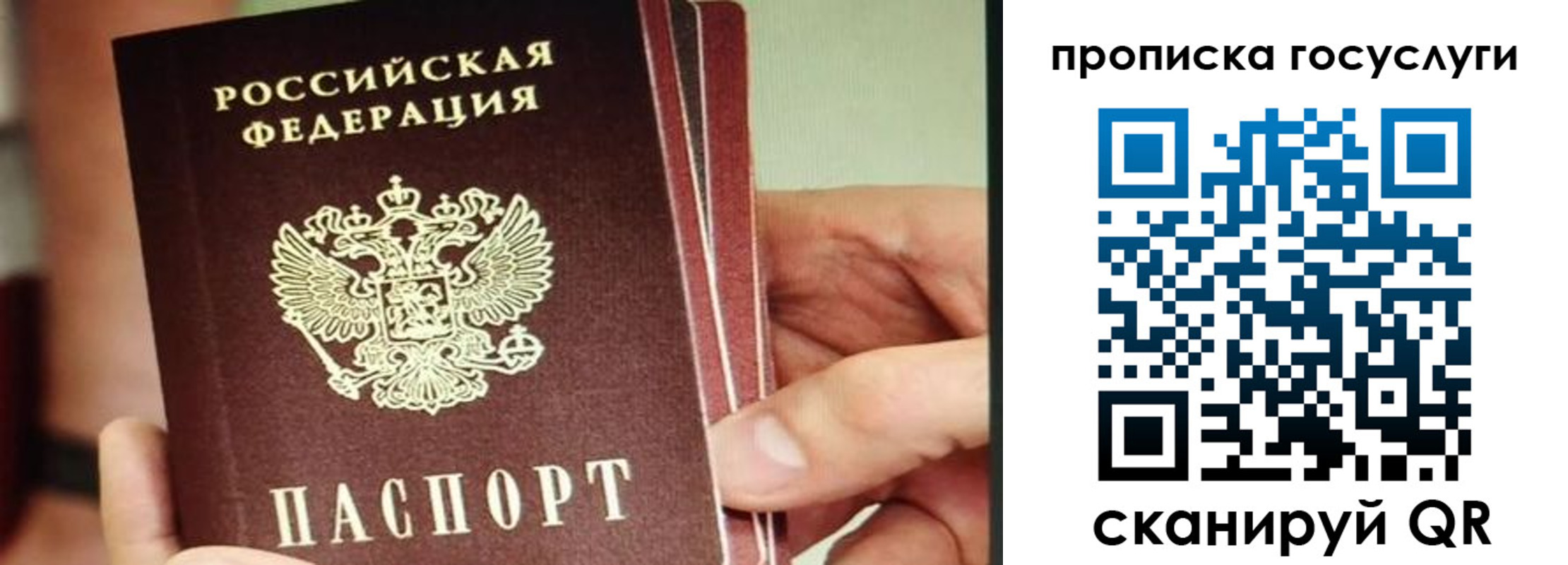 пропишу в квартире в Камышине