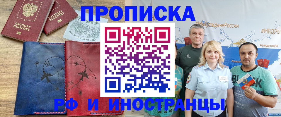 прописка поиск в Камышине